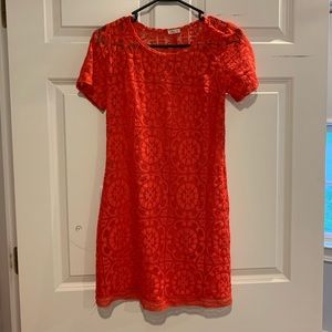 Mini Hollister Shift Dress